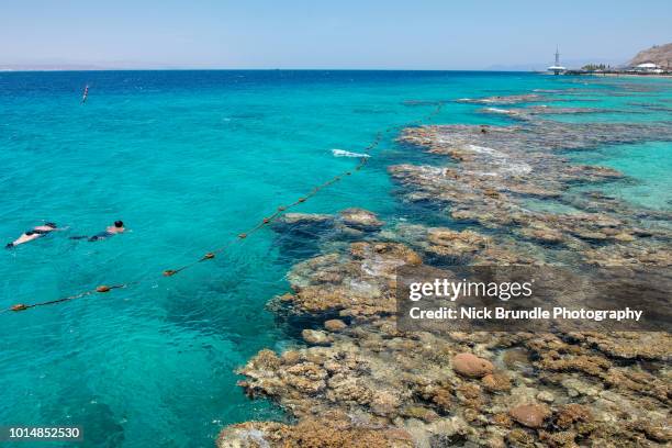 coral beach, eilat, israel - eilat stock pictures, royalty-free photos & images