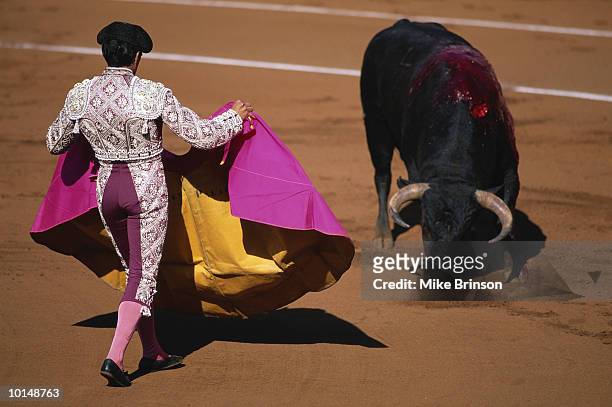 matador and bull in bullfight spain - bullfighter stock-fotos und bilder