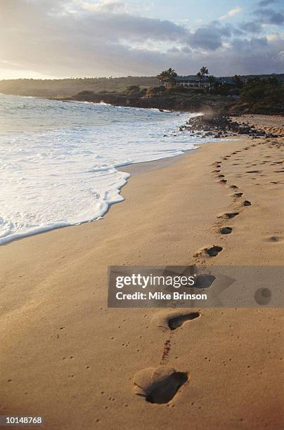 footprints in sand, manele bay, lanai, hawaii - lanai stock pictures, royalty-free photos & images