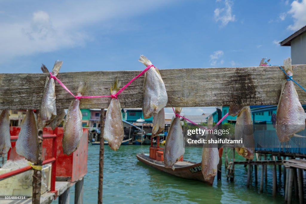 Traditional salt dried fish hanging and drying under the sun