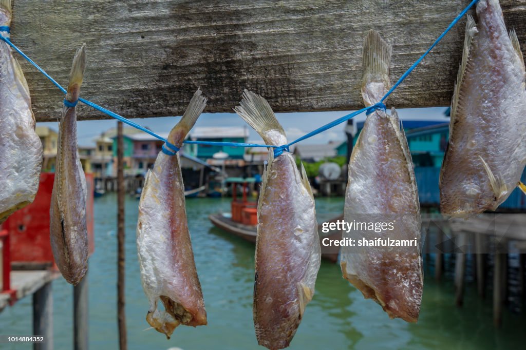 Traditional salt dried fish hanging and drying under the sun