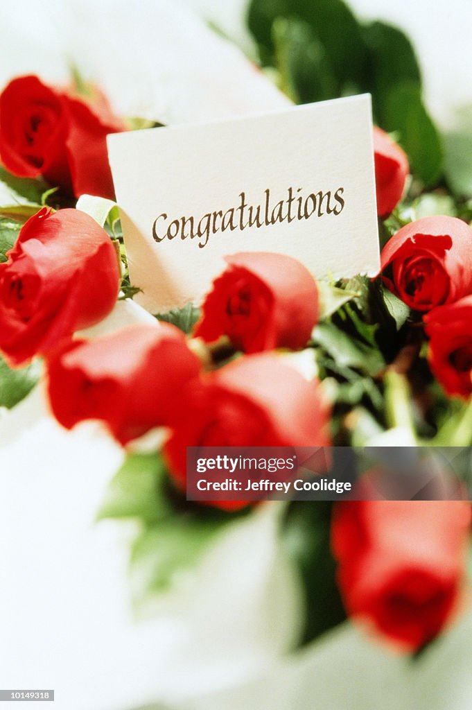 DOZEN RED ROSES, CONGRATULATIONS