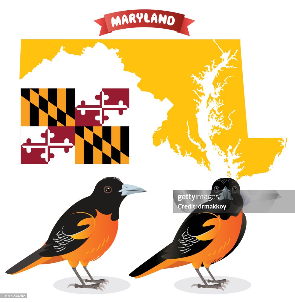 ボルチモアオリオールパーク