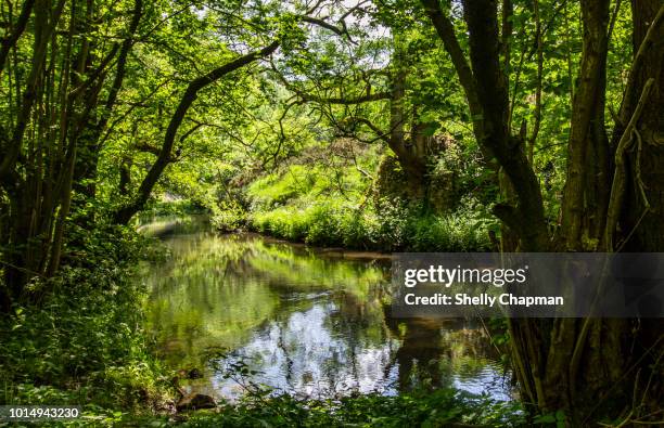 river dove in wolfscote dale, peak district - river dove stock pictures, royalty-free photos & images