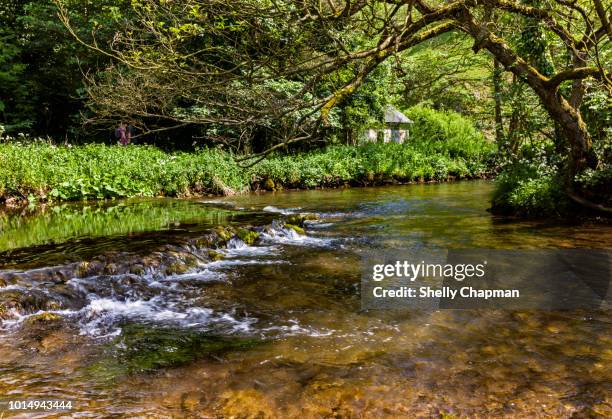 river dove in wolfscote dale, peak district - river dove stock pictures, royalty-free photos & images