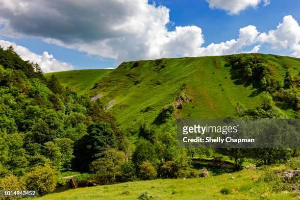 green hills rising over dove river, wolfscote dale, peak district - river dove stock pictures, royalty-free photos & images