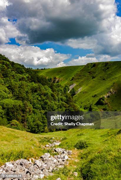 green hills rising over dove river, wolfscote dale, peak district - river dove stock pictures, royalty-free photos & images