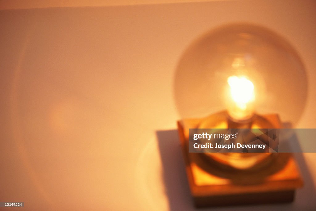 LIGHT BULB IN A CLEAR GLOBED LAMP