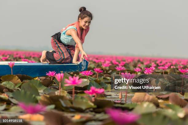 woman relaxing with beautiful lotus flower field at the red lotus sea,thailand. - water garden stock pictures, royalty-free photos & images