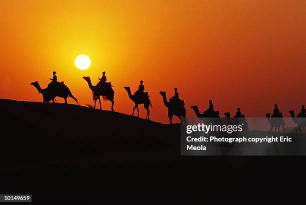 caravan, rajasthan, india - camel stock pictures, royalty-free photos & images