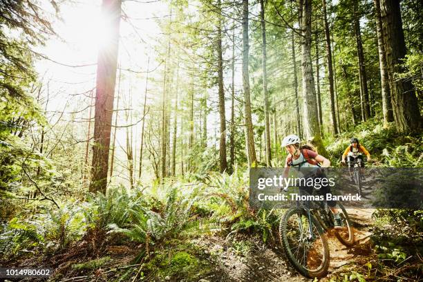 female friends riding mountain bikes down trail in wood - mountainbiking stock-fotos und bilder