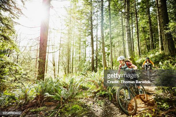 female friends riding mountain bikes down trail in wood - mountain biking fotografías e imágenes de stock