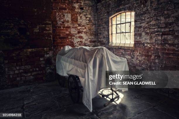 1,521 検死解剖 写真 Stock Photos, High-Res Pictures, and Images - Getty Images