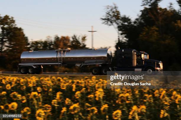 truck and trailer with liquid container on the highway - international brotherhood of teamsters stock pictures, royalty-free photos & images