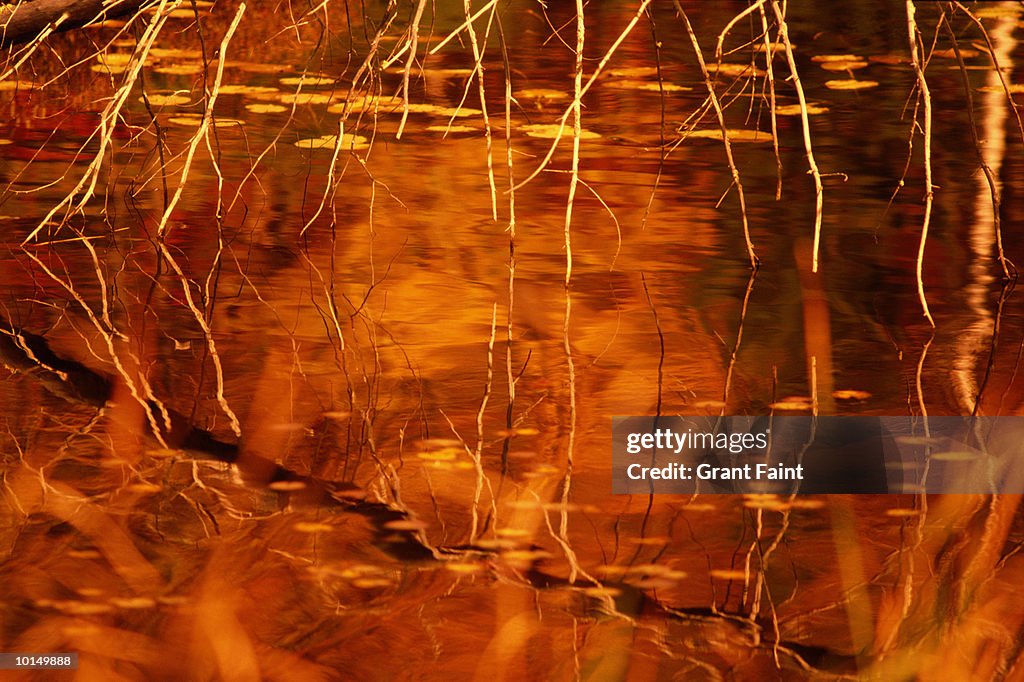 FALL COLORS CANADA, REFLECTIONS OTTAWA