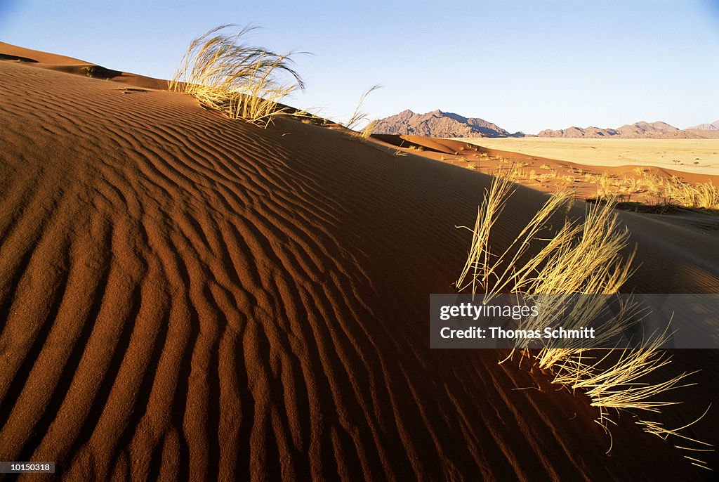 ELIM DUNE NAMIB DESERT, NAMIBIA