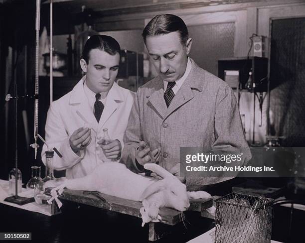 two scientists in a laboratory in the 1930s - dierproef stockfoto's en -beelden