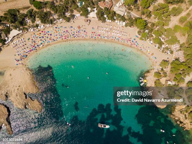 cala bassa, ibiza - calla lily stock pictures, royalty-free photos & images