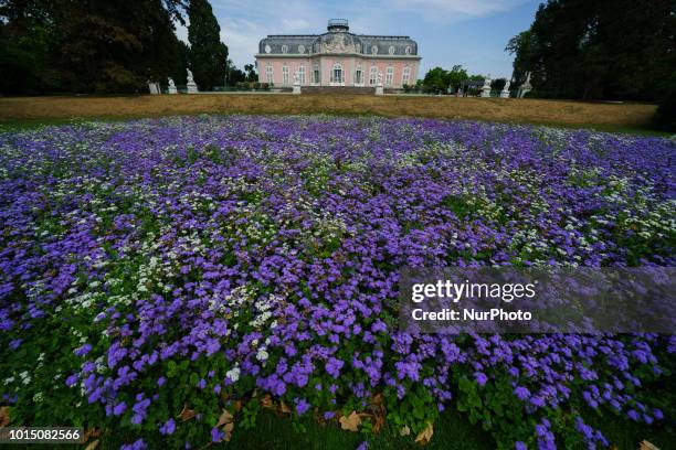 Corps De Logis Photos and Premium High Res Pictures Getty Images
