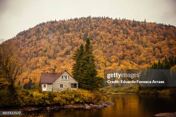 jacques-cartier national park - log cabin foto e immagini stock