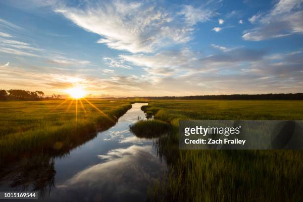sunrise over the marsh - côte est du maryland photos et images de collection