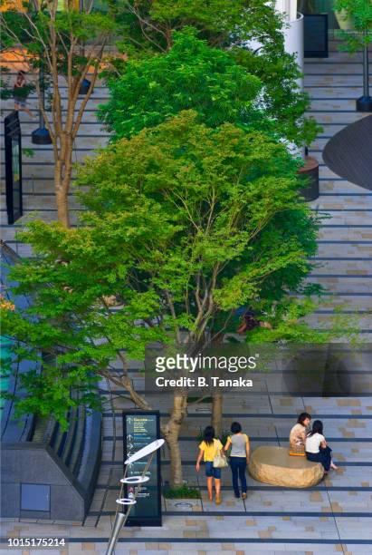 main entrance courtyard at modern tokyo midtown complex in the minato district of tokyo, japan - arbre main stock pictures, royalty-free photos & images