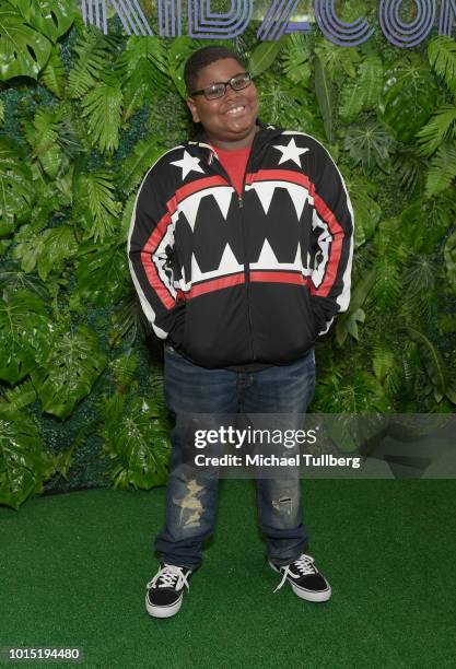 Akinyele Caldwell attends the VIP Preview Of KIDZ-CON 2018 at The Reef on August 11, 2018 in Los Angeles, California.