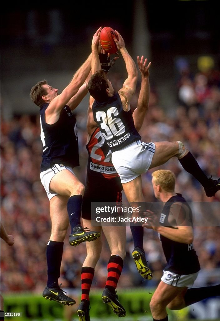 Aaron Hamill of the Carlton Blues