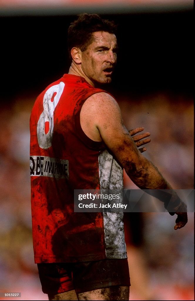 Daryn Cresswell of the Sydney Swans