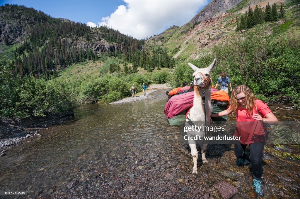 Stream crossing while llama trekking