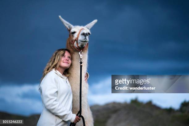 Teenager-Mädchen und ein Lama in Bergen