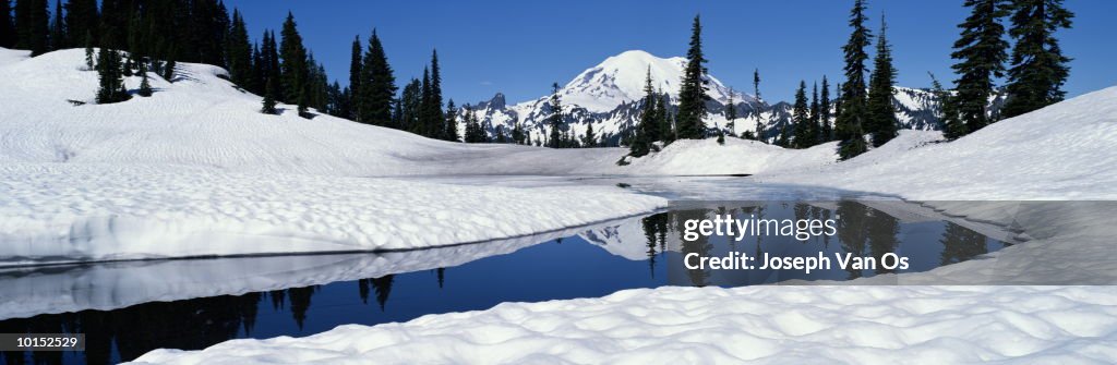 MOUNT RANIER, MOUNT RANIER NATIONAL PARK, WASHINGTON