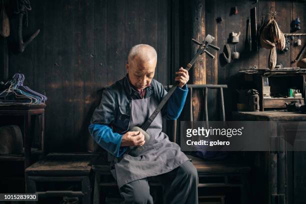 chinese senior man playing longneck lute indoors - chinese music imagens e fotografias de stock