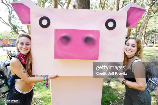 Festivalgoers are seen during the 2018 Outside Lands Music And Arts Festival at Golden Gate Park on August 11, 2018 in San Francisco, California.
