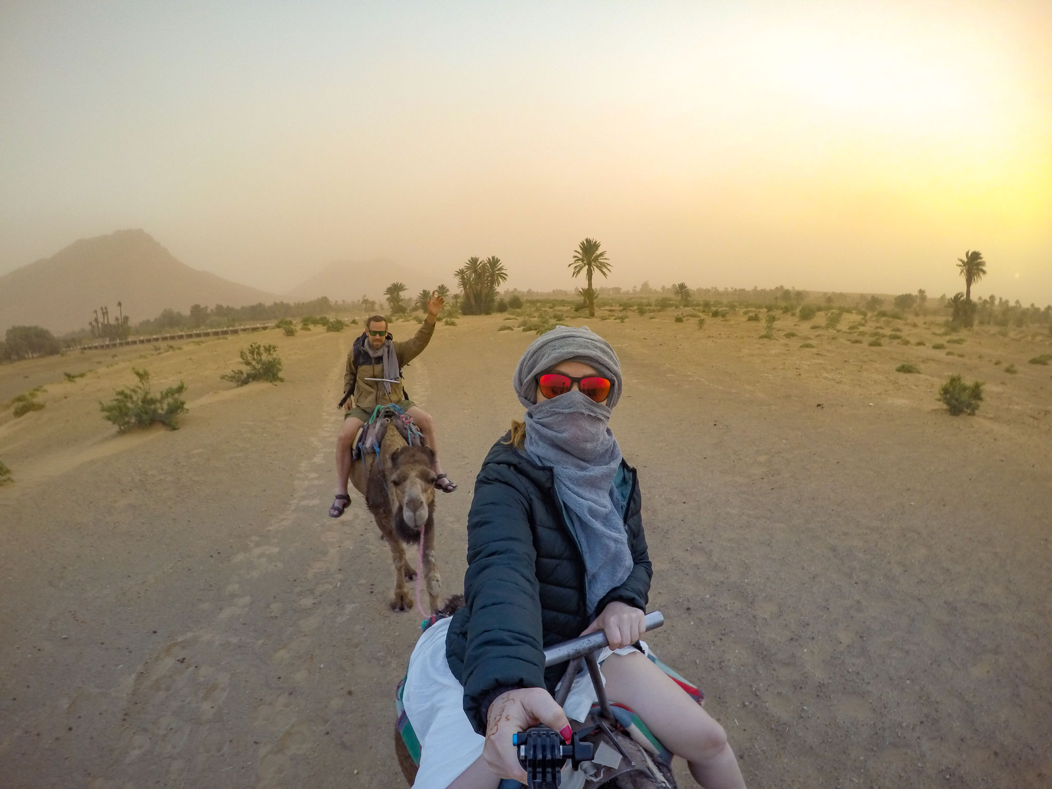 Portrait of Young Woman on Camel Portrait of Young Woman on Camel