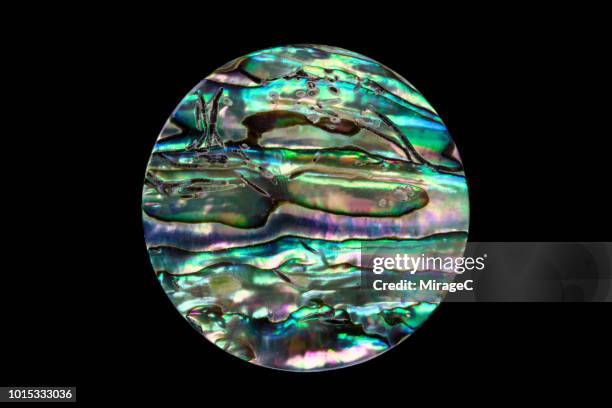 colorful abalone shell - mother of pearl stock pictures, royalty-free photos & images