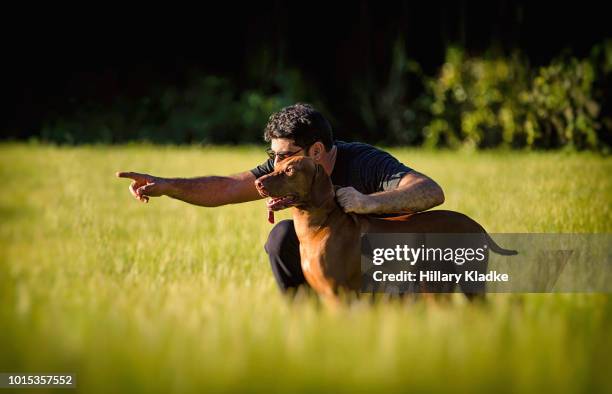 man pointing for dog - dog point of view stock pictures, royalty-free photos & images