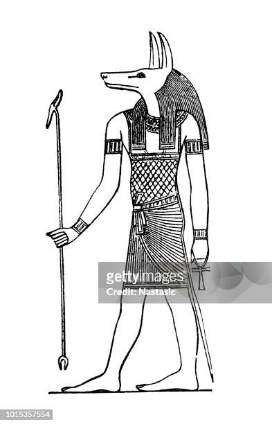 illustrations, cliparts, dessins animés et icônes de dieu égyptien anubis - polythéisme
