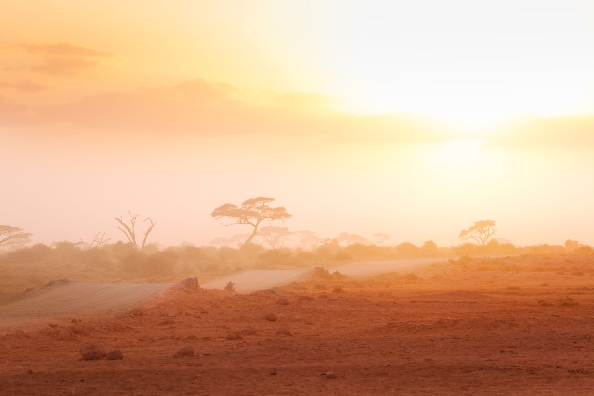 tech landscape East Africa