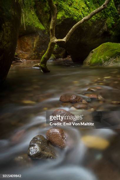 a tranquil stream. vertical full colour image, long exposure. cathedral peak, drakensberg, kwazulu natal, south africa - cathedral imagens e fotografias de stock