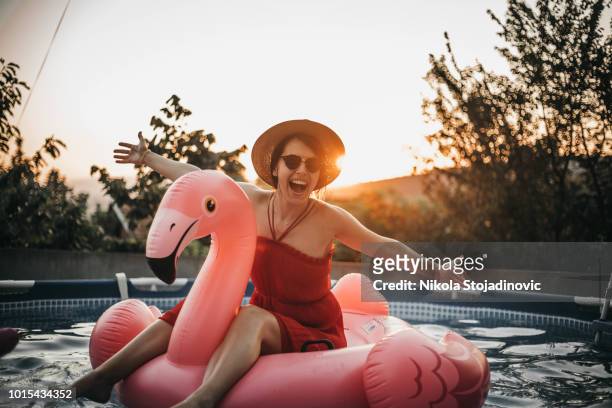 aufblasbarer flamingo - gewässer stock-fotos und bilder