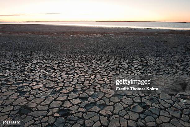 dried mud along the seashore, camargue, france - lake bed 個照片及圖片檔