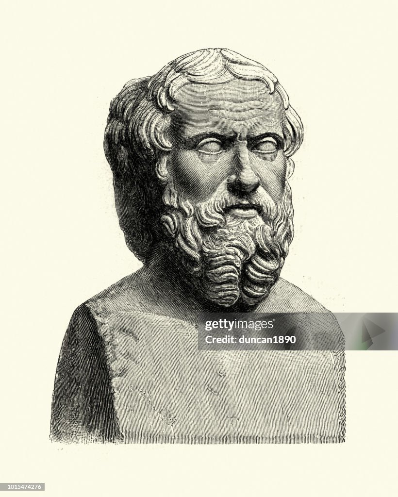 Bust of Herodotus, The Father of History