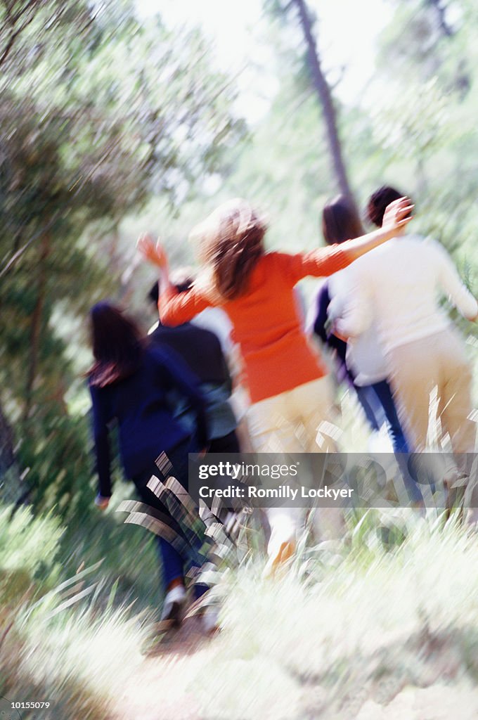 GROUP OF FRIENDS RUNNING IN WOODS