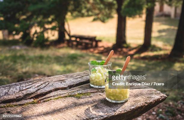 melonade in the forest - garden table stock pictures, royalty-free photos & images