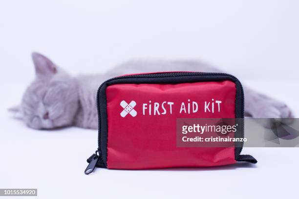 ill cat with first aid kit - animal hospital fotografías e imágenes de stock