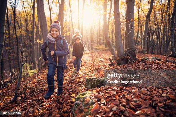 glückliche kinder, die im herbstlichen wald laufen - daily life in poland stock-fotos und bilder
