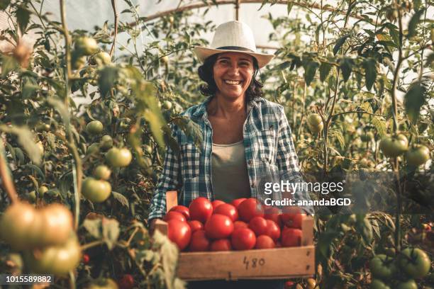 farmers - farm worker woman stock pictures, royalty-free photos & images