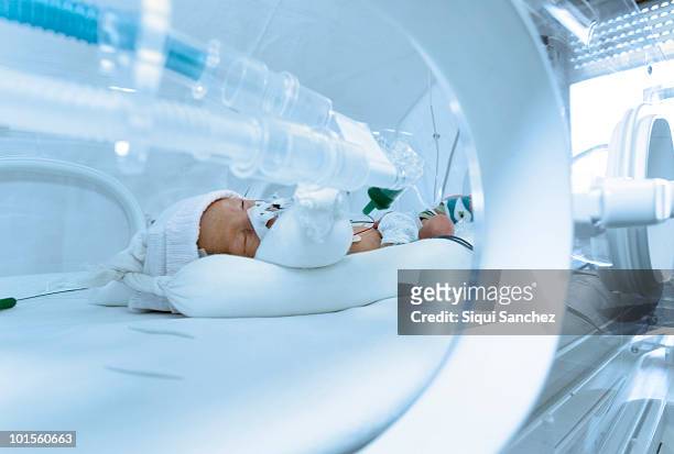 newborn care - incubator imagens e fotografias de stock