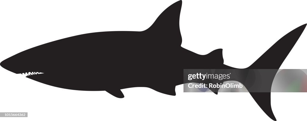 Shark Silhouette